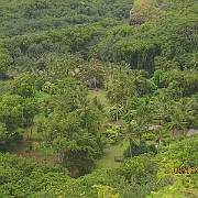 Picture 012